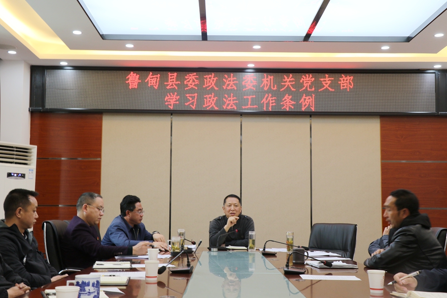 鲁甸县委政法委机关党支部专题学习《政法工作条例》