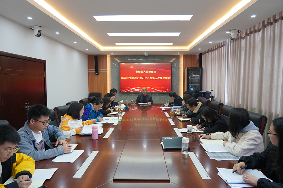 鲁甸县人民检察院开展国家安全教育学习活动